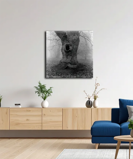 Ein alter Baum im Nebel, Detai des Stammes, s/w foto, quadratisch, an heller Wand hängend, 100 x 100 cm, Thomas Dalecki, Kunst-Direkt.de